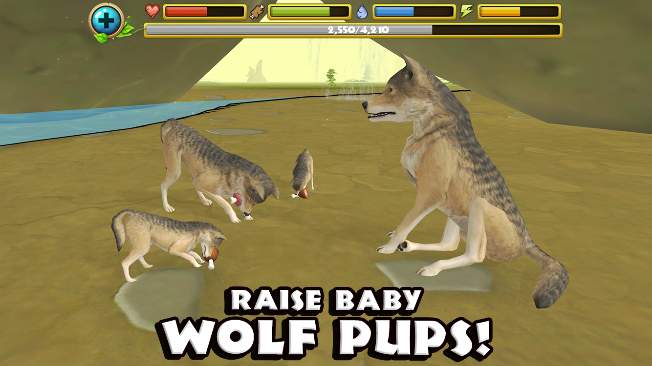 Wild life Simulator Wolf2